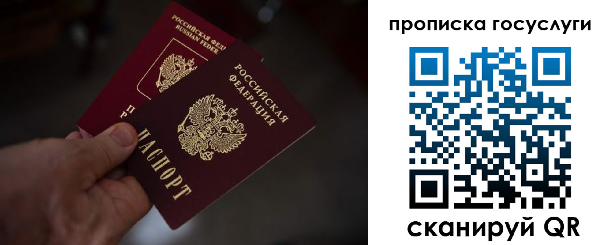 прописка ребенка в Ростовской области